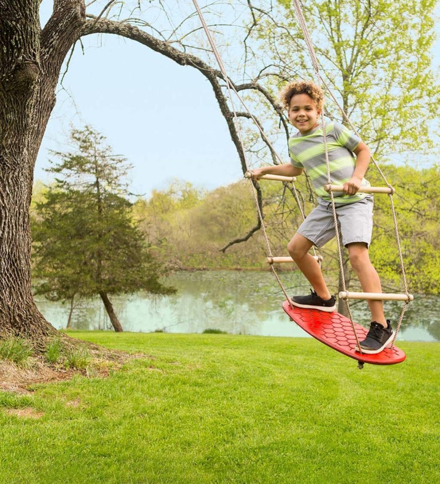 Air Rider Surf Swing