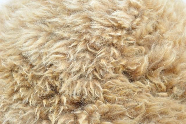 Alpaca Pillow