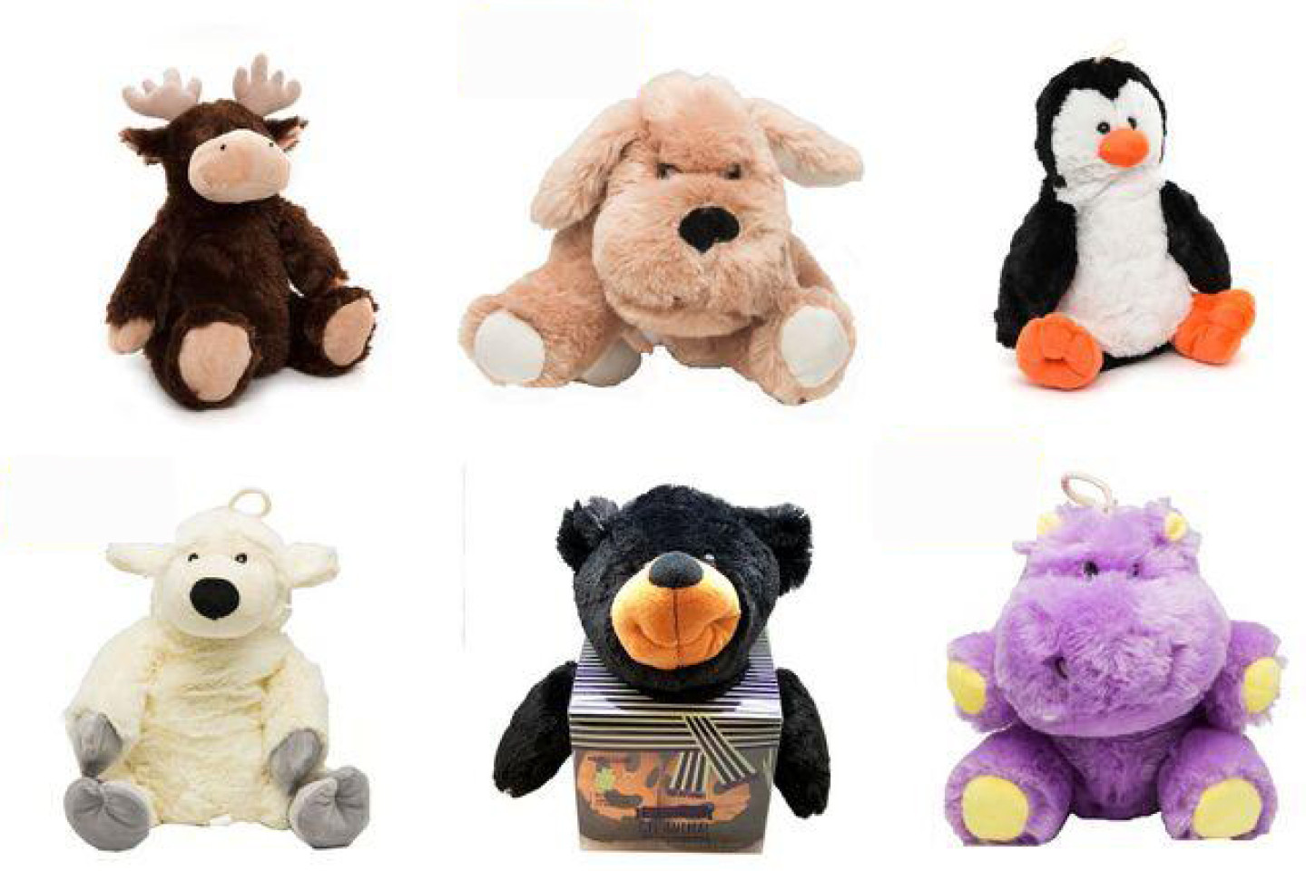 Aroma Pets