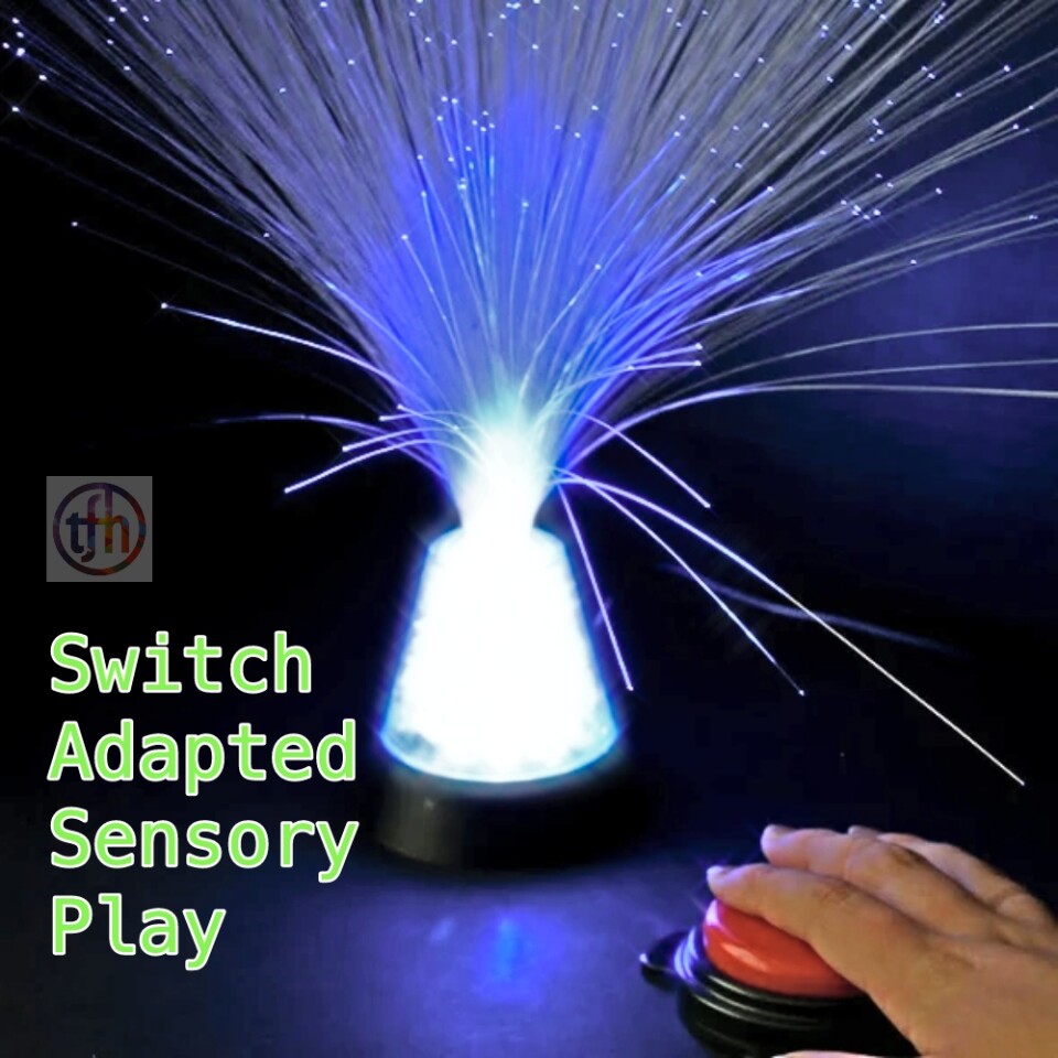 Table Top Fiber Optic - Switch Adapted Table Top Fiber Optic - Switch Adapted