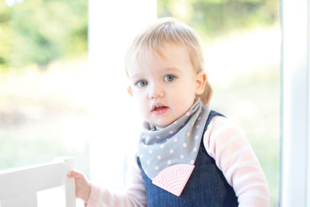 Neckerchew Classic - A Chewy Bib