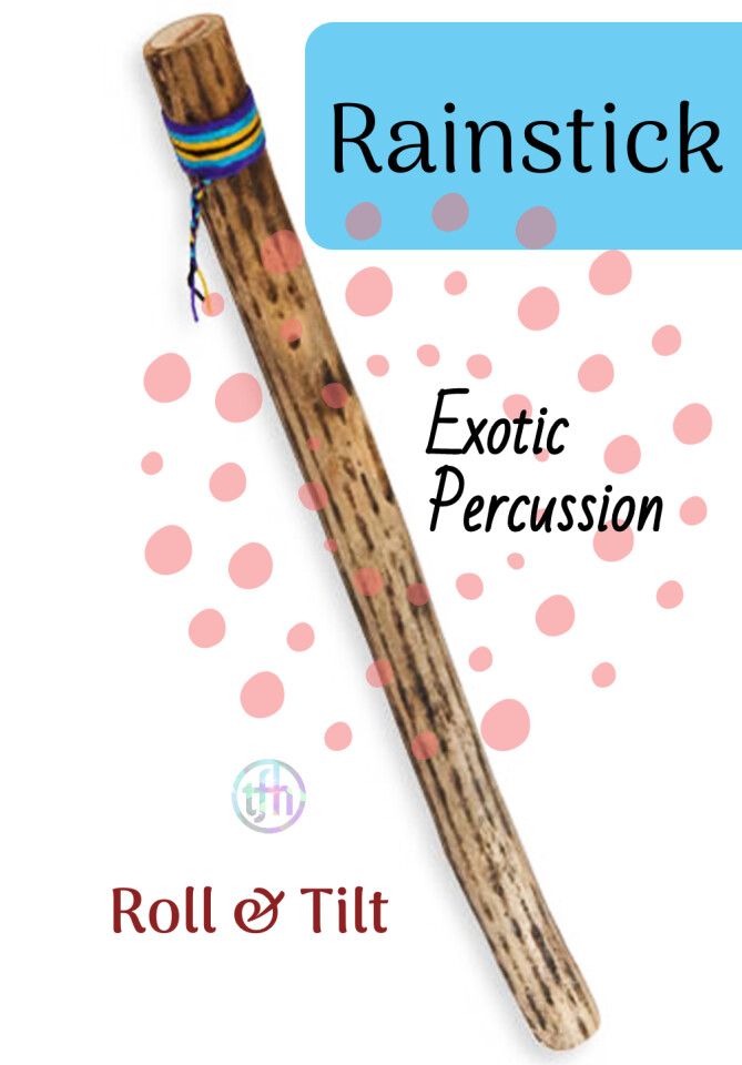 Rain Stick