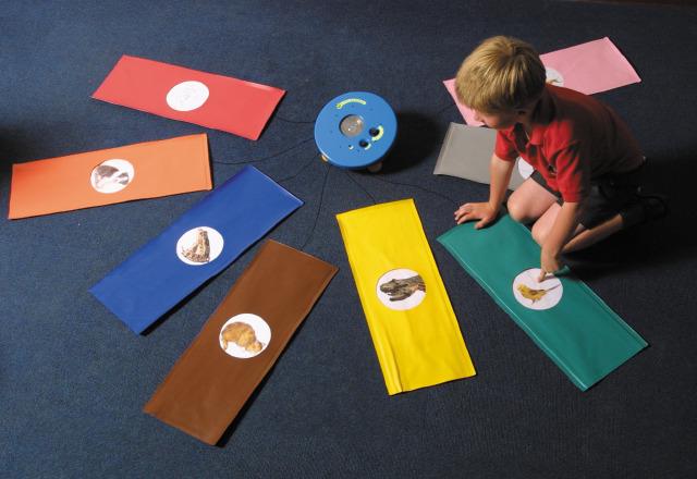 Floor Pad Pressure Toy