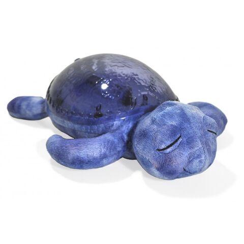 cloud b Tranquil Turtle