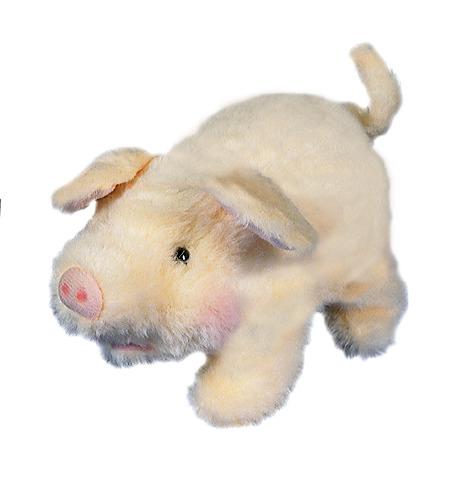 Pudgy Pig - Switch Adapted Reward