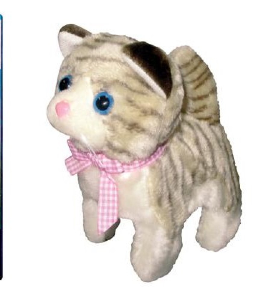 Cat Reward