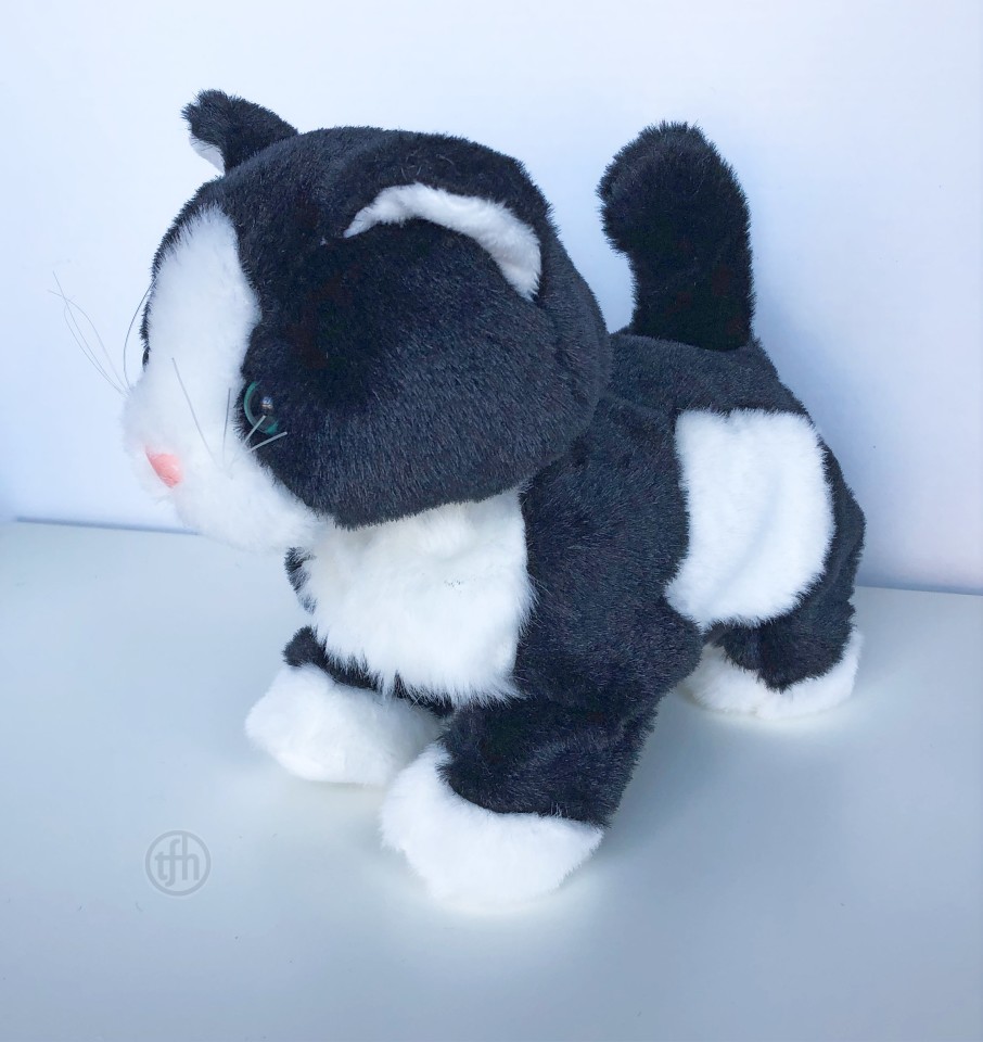 Kitty Cat Reward
