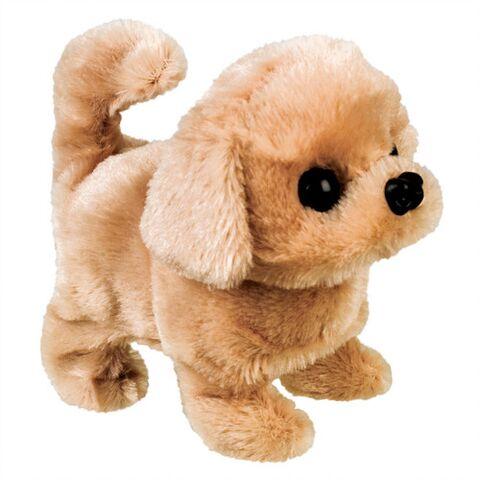 Dog Reward
