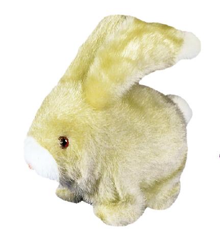 Fluff the Rabbit Reward