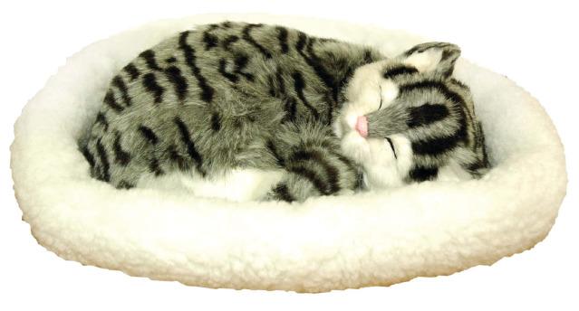 Breathing Cat