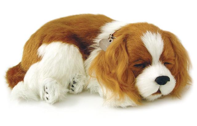 Breathing Dog