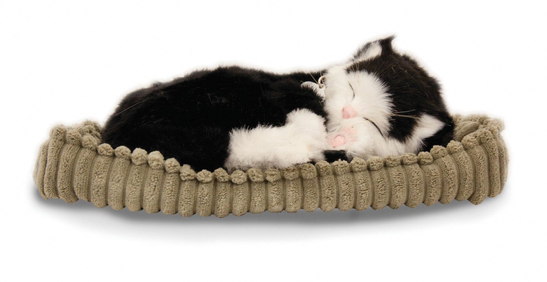 Sovande katt - svart/vit