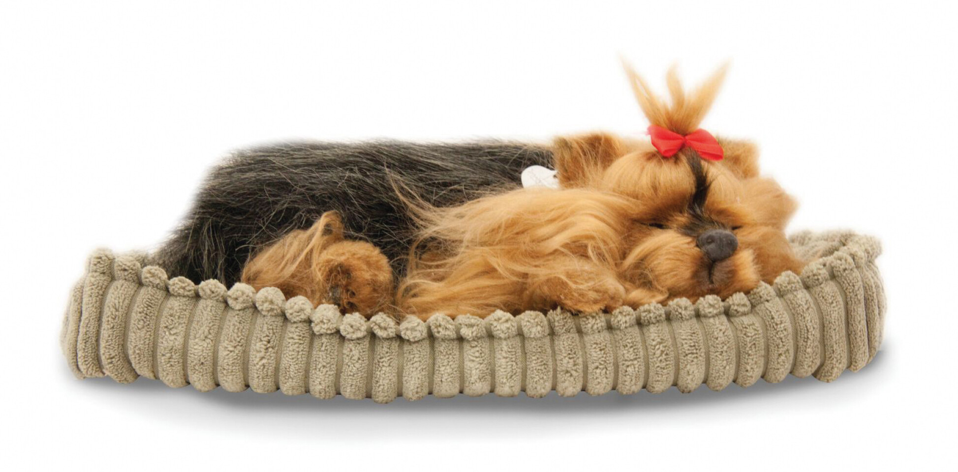 Sovande hund Yorkie