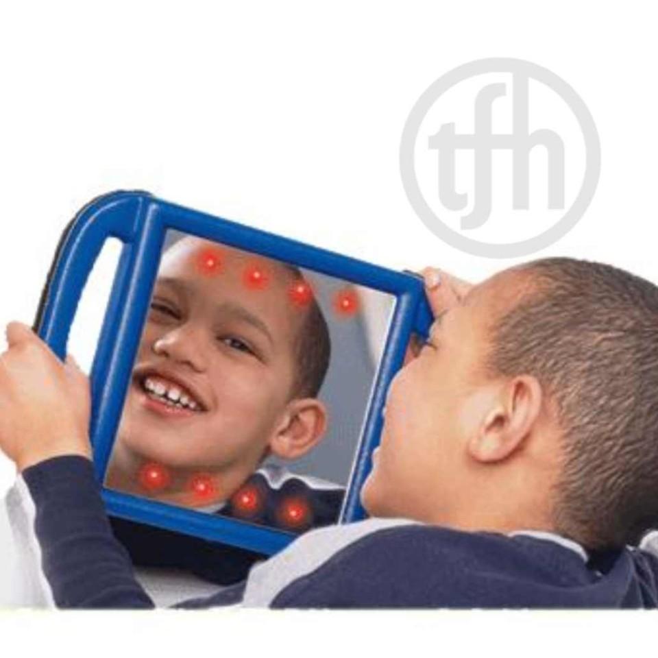 Light Up Vibrating Mirror