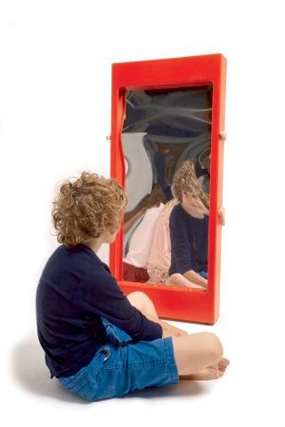Mirror, Selective Distortion & Abstract Reflection