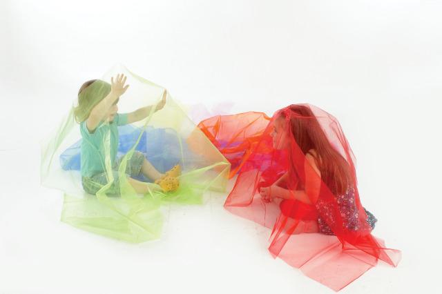 Rainbow Organza