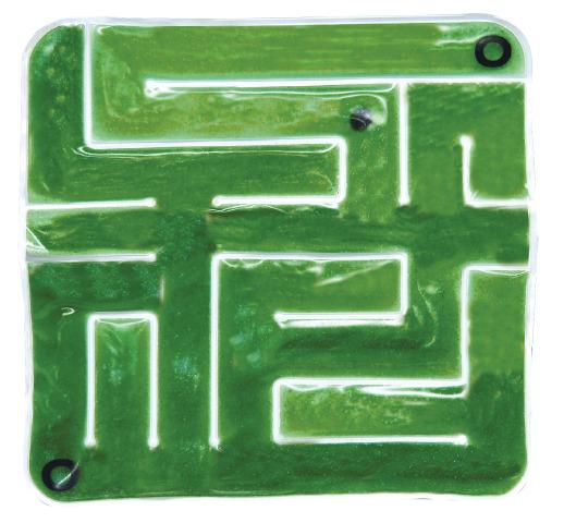 Gel Maze Gel Maze