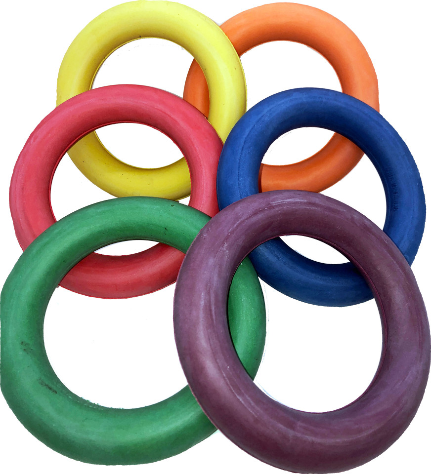 Quoit - Set of 6