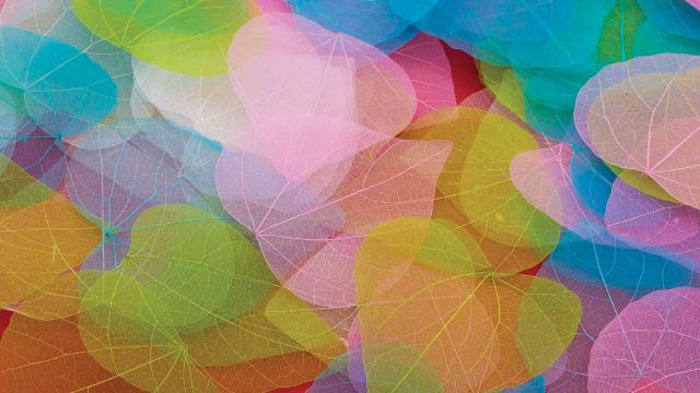 Heart Leaves