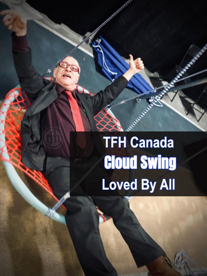 Swing, Open Cloud Net