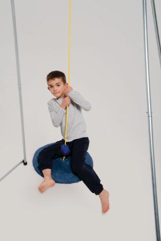Disc Swing