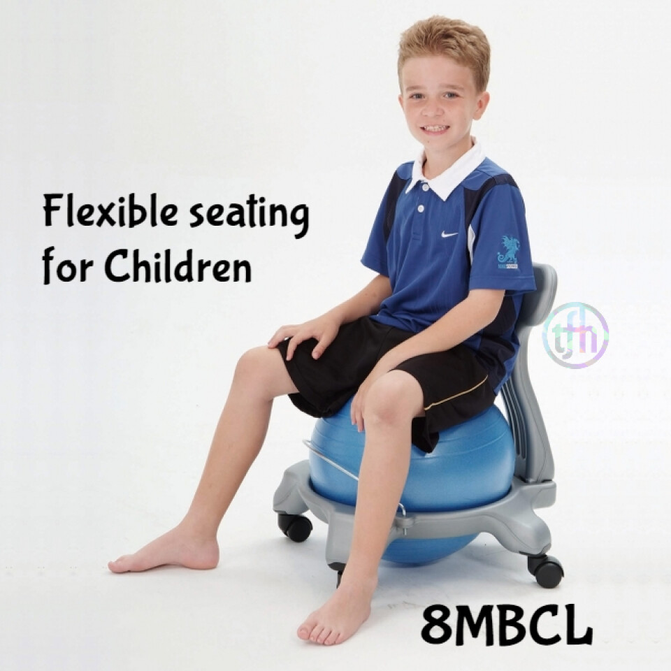 19" Ball Chair Small Ball Chair Small