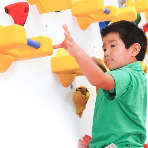 Adaptive Climbing Wall - 12'