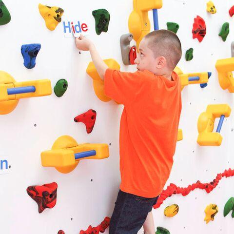Adaptive Climbing Wall - 20'