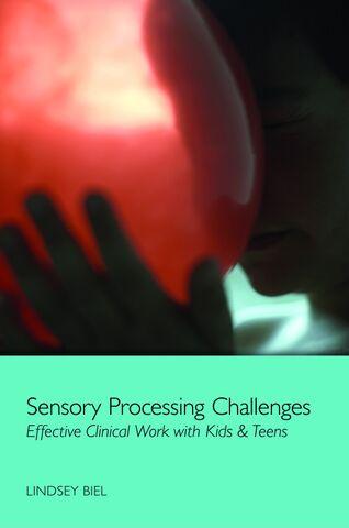 Lindsey Biel Sensory Smart Workshop-Parent- Style: Sensory Processing Challenges