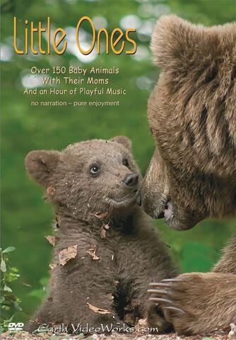 Little Ones DVD