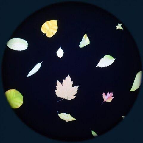 Projector Effects Wheel, Little Leaves