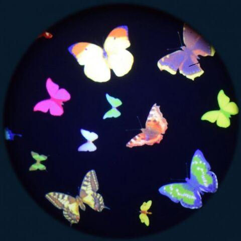 Projector Effects Wheel, Papillon Colour