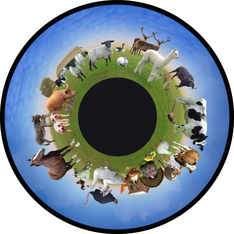 Solar Projector Effects Wheels- Style: Farm Animals Effects Wheel