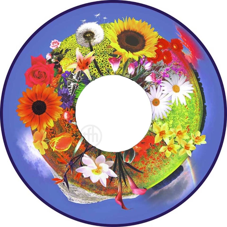 Projector Effects Wheel, Grandmas Flower Garden