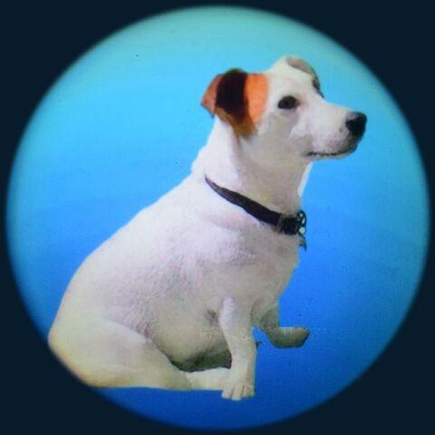 Family Pets Projector Effects Wheel, Family Pets