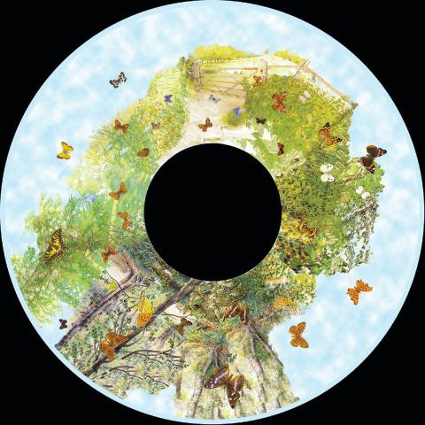 Effects Wheel, Butterflies in the Sky