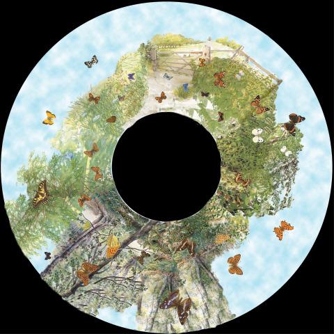 Solar Projector Effects Wheels- Style: British Butterflies