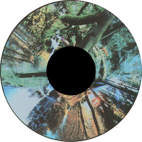 Seasoned Woods Seasoned Woods - Projection Sensory Toy