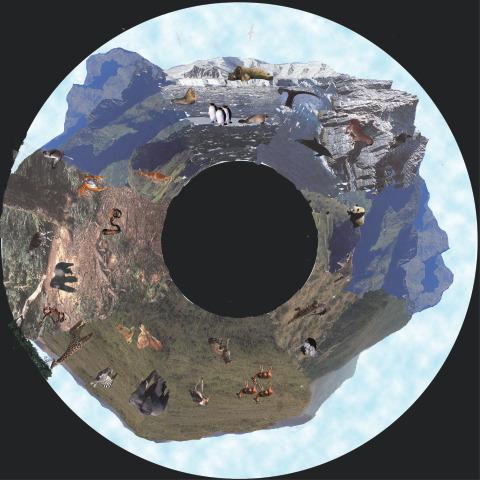 Wilderness - Relaxing Sensory Toy