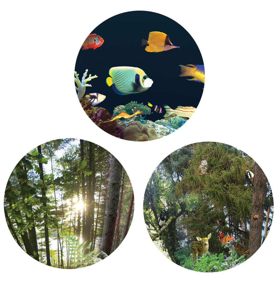 9" Sensory Projector Wheel Kit