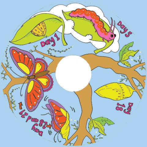 SNAP Projector Wheels:- Style: Butterfly Life Cycle Snap Wheel