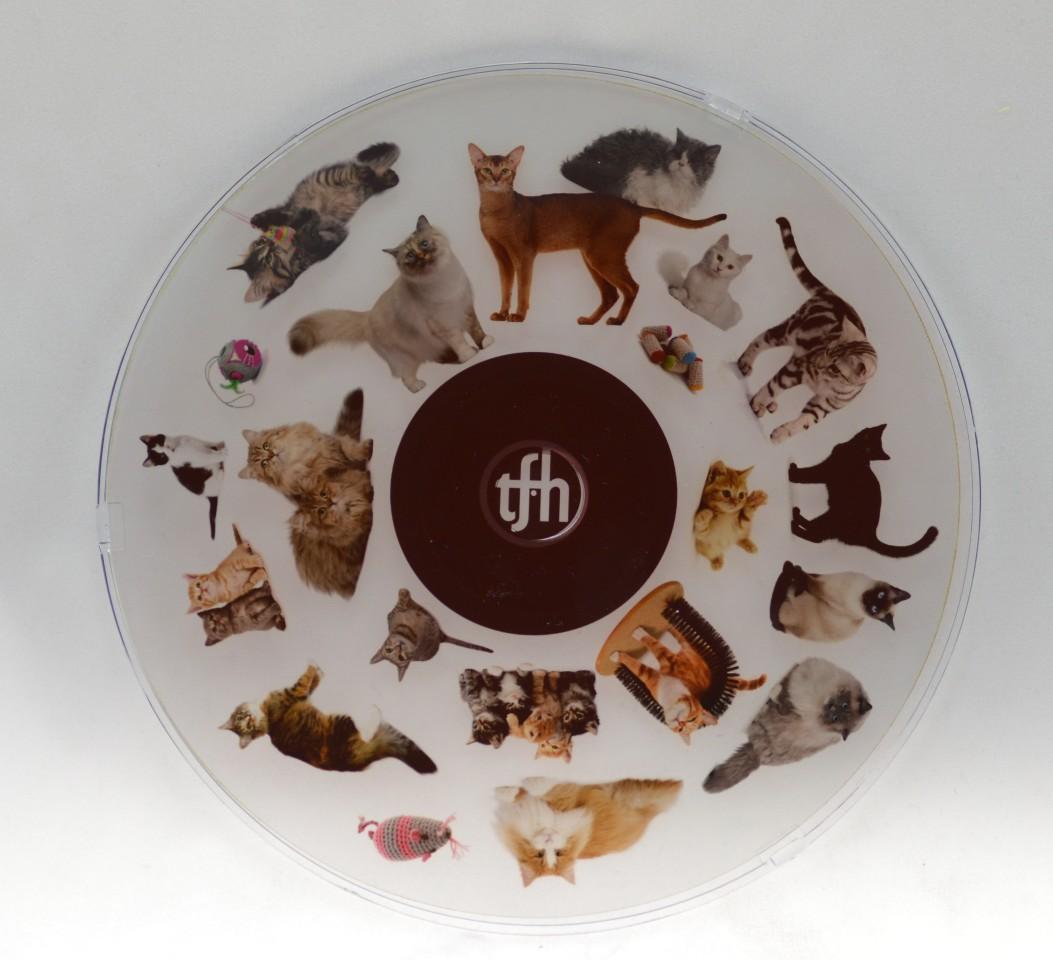 Cats 6 Inch Projector Wheel - Cats Scene
