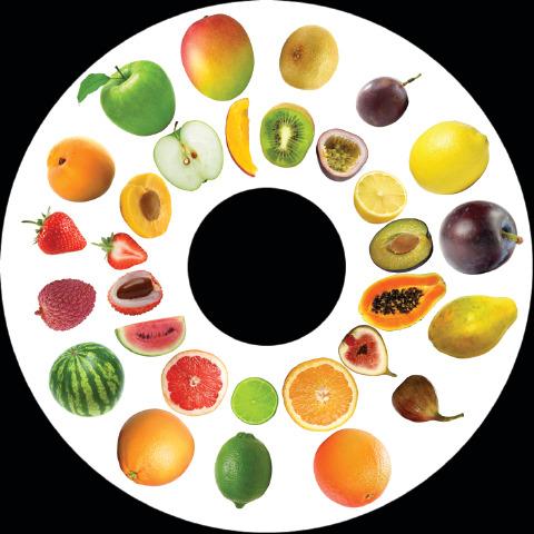 Fruit 6 Inch Projector Wheel - Fruit Scene