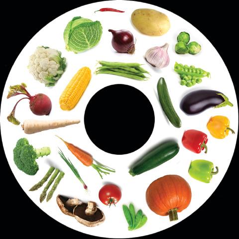 Vegetables 6 Inch Projector Wheel - Vegetables Scene