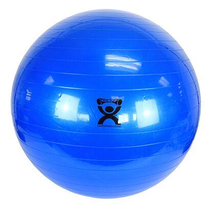 Therapy Ball Small