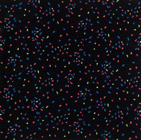 UV Carpet Starry Night 6x6