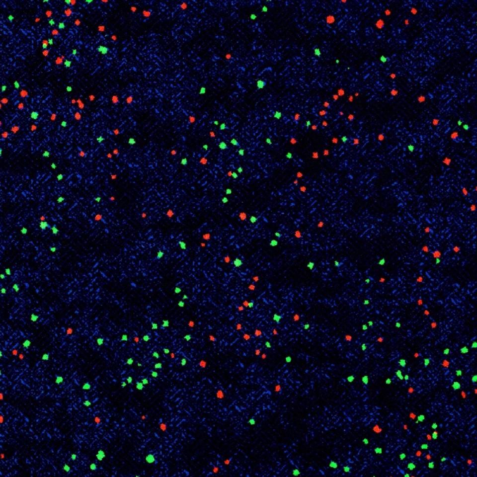 Deep Space Carpet Tile