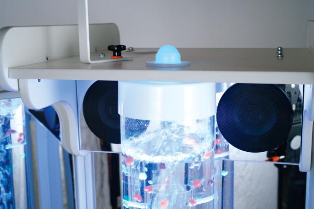 Vecta Deluxe Mobile Sensory Station