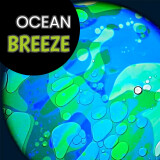 Effects Wheel, Tropical Fish