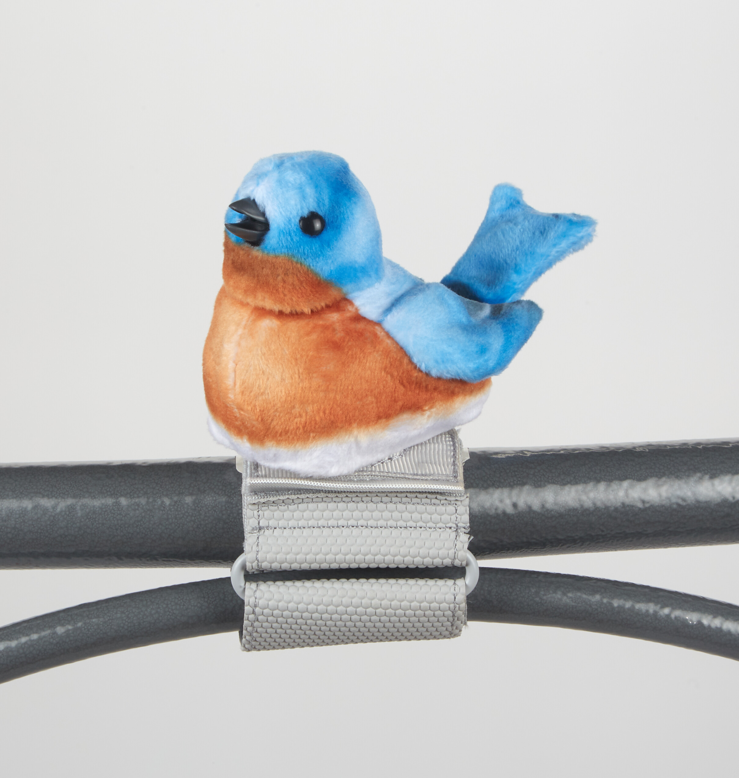 Bluebird - Walker Squarker